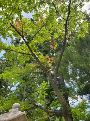 隠津島神社(福島県)