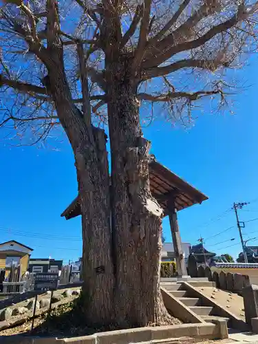 真勝院(東京都)