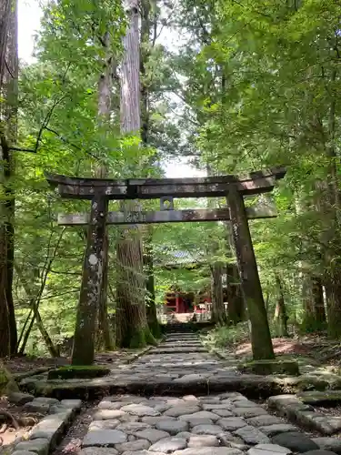 瀧尾神社（日光二荒山神社別宮）の鳥居