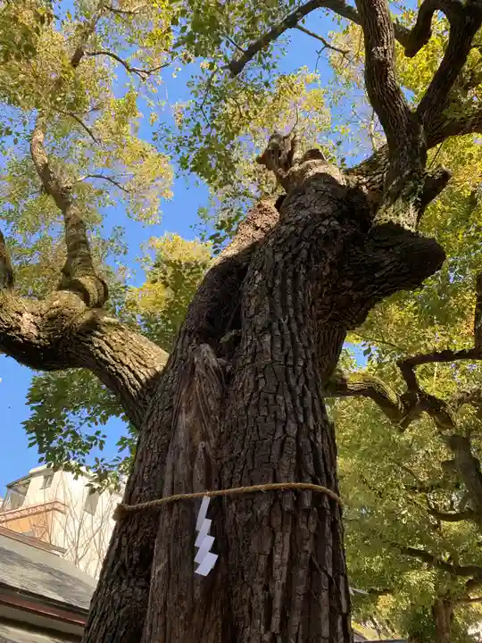 御霊神社(大阪府)