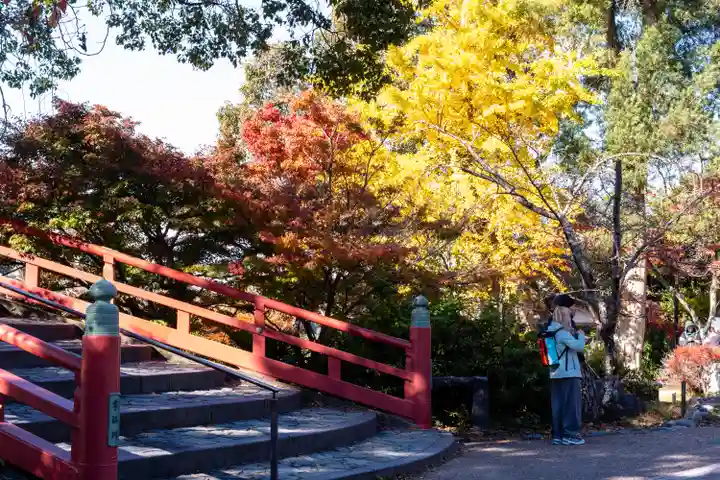 宇治神社(京都府)