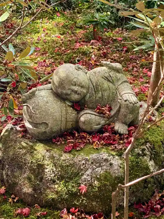 圓光寺(京都府)