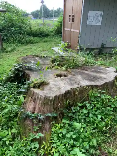 熊野神社の自然