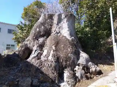 細江神社(静岡県)