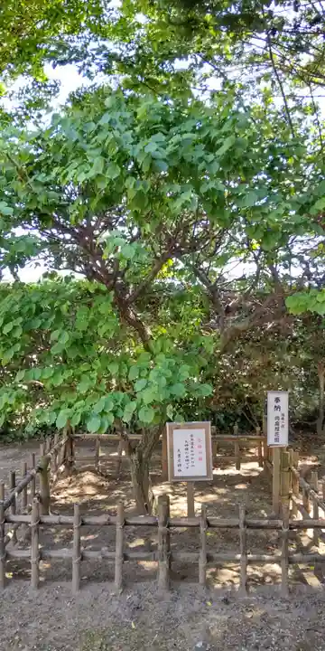 天豊受神社(埼玉県)