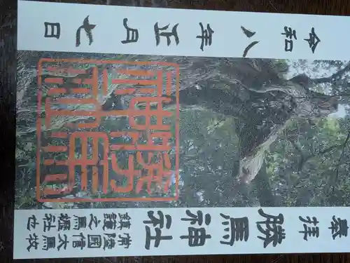 大杉神社(茨城県)