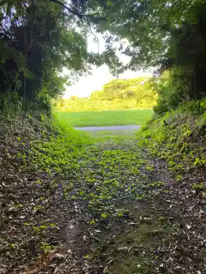 坂戸神社(茨城県)