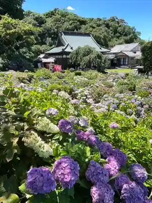 本勝寺(静岡県)