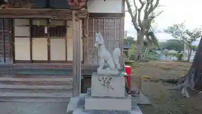 稲荷神社(今井)の狛犬