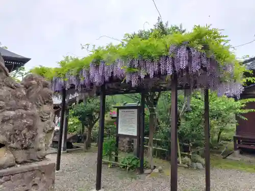 大地主神社の{uncategorized: "未分類", other: "その他", undefined: "問題あり", building: "その他建物", grave: "お墓", sacred_gate: "鳥居", guardian: "狛犬", statue: "像", buddha: "仏像", history: "歴史", nature: "自然", garden: "庭園", animal: "動物", pagoda: "塔", temizu: "手水舎", mountain_gate: "山門・神門", sanctuary: "本殿・本堂", subordinate: "末社・摂社", art: "芸術", scenery: "景色", jizo: "地蔵", ema: "絵馬", goshuin: "御朱印", omikuji: "おみくじ", items: "授与品その他", amulet: "お守り", goshuincho: "御朱印帳", eats: "食事", festival: "お祭り", votive_dance: "神楽", shichigosan: "七五三参", wedding: "結婚式", experience: "体験その他", initially: "初詣", around: "周辺", anti_infection: "感染症対策"}