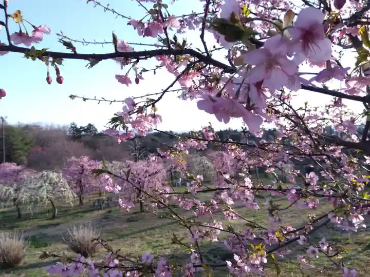 花乃丘神社(三重県)