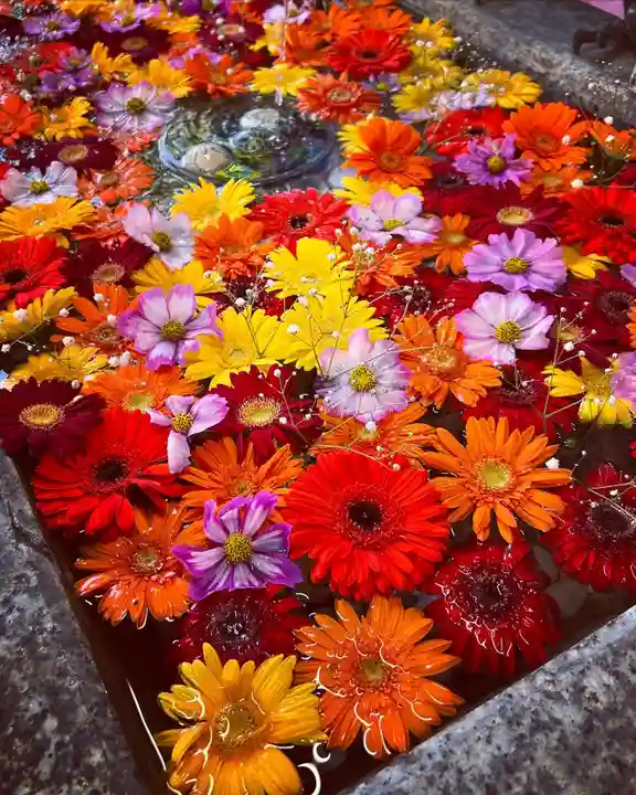 札幌諏訪神社の手水舎