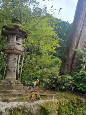 石上神宮(奈良県)