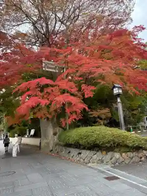 円通院の{uncategorized: "未分類", other: "その他", undefined: "問題あり", building: "その他建物", grave: "お墓", sacred_gate: "鳥居", guardian: "狛犬", statue: "像", buddha: "仏像", history: "歴史", nature: "自然", garden: "庭園", animal: "動物", pagoda: "塔", temizu: "手水舎", mountain_gate: "山門・神門", sanctuary: "本殿・本堂", subordinate: "末社・摂社", art: "芸術", scenery: "景色", jizo: "地蔵", ema: "絵馬", goshuin: "御朱印", omikuji: "おみくじ", items: "授与品その他", amulet: "お守り", goshuincho: "御朱印帳", eats: "食事", festival: "お祭り", votive_dance: "神楽", shichigosan: "七五三参", wedding: "結婚式", experience: "体験その他", initially: "初詣", around: "周辺", anti_infection: "感染症対策"}