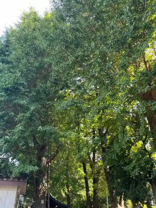 穏田神社(東京都)