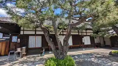 六道珍皇寺(京都府)