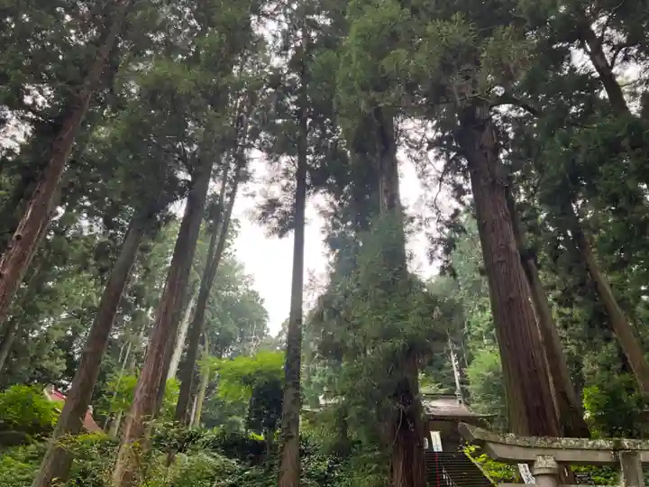 大宮温泉神社(栃木県)