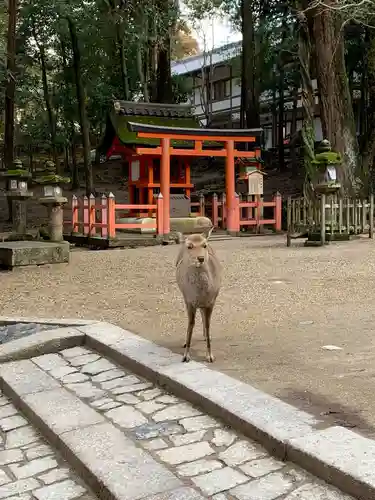 春日大社(奈良県)