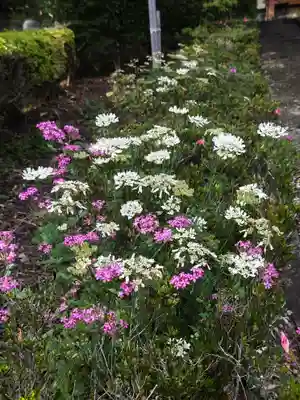 龍光寺(福島県)