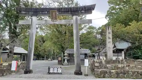 闘鶏神社の鳥居