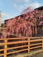 泰心院(宮城県)