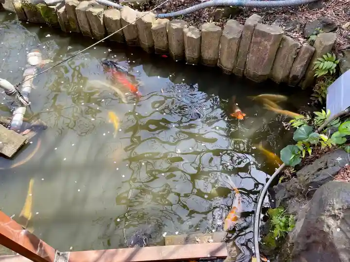 七渡神社(七渡弁天社)(東京都)