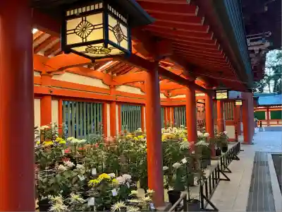 武蔵一宮氷川神社(埼玉県)