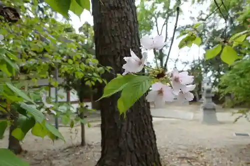 月読神社の自然