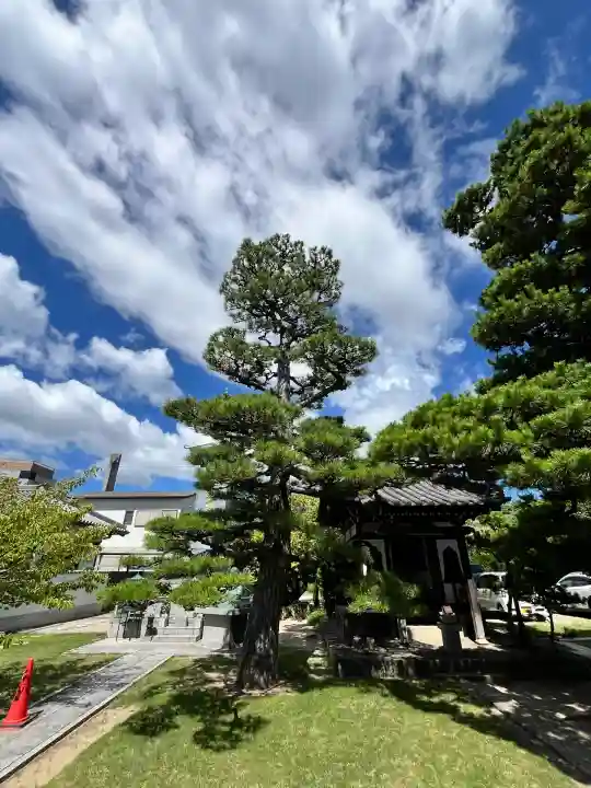 無量光寺(和歌山県)
