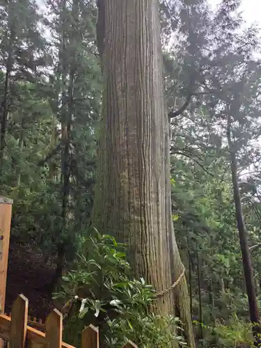 玉置神社の御朱印