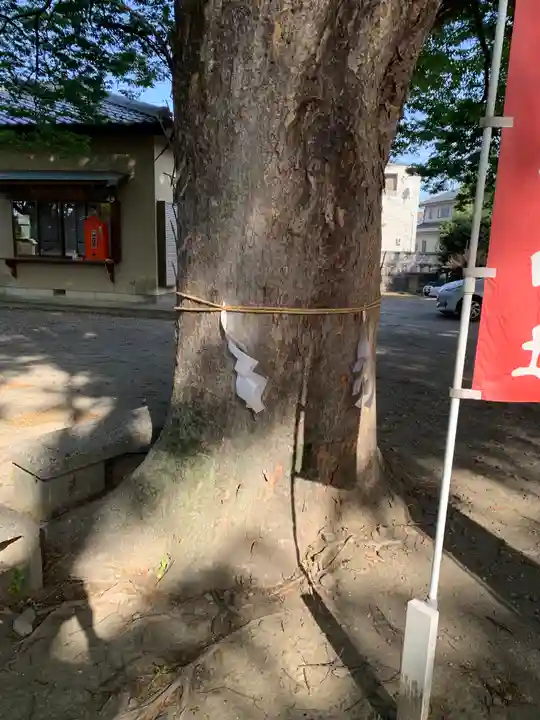 新町諏訪神社(群馬県)