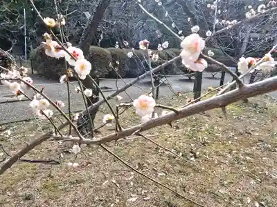 意賀美神社(大阪府)