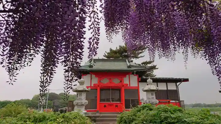 浮島辨財天の本殿・本堂