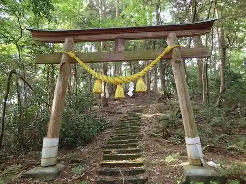 金剱神社の鳥居