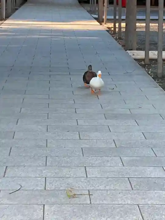 平塚八幡宮(神奈川県)