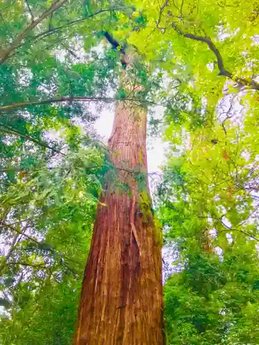 香取神宮(千葉県)