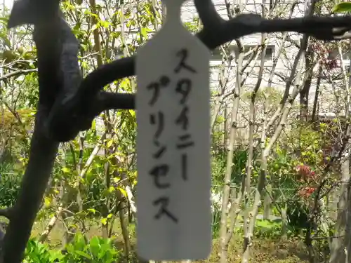 大巧寺のその他建物