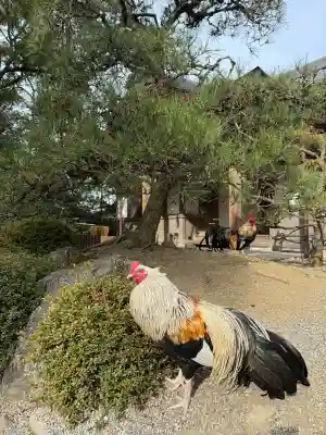 石上神宮(奈良県)