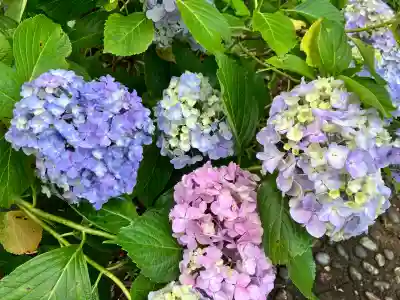 本土寺(千葉県)