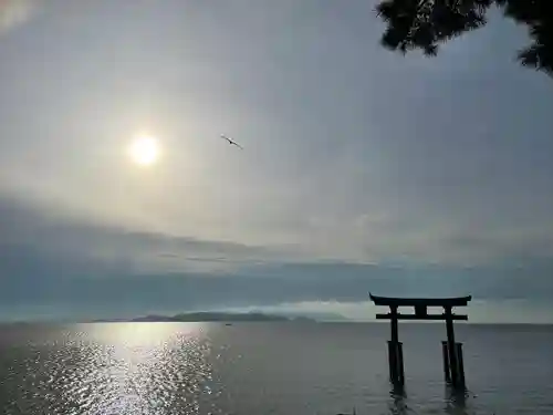 白鬚神社(滋賀県)