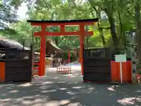河合神社(鴨川合坐小社宅神社)の鳥居