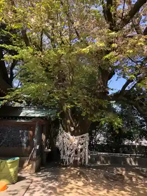 王子神社(徳島県)