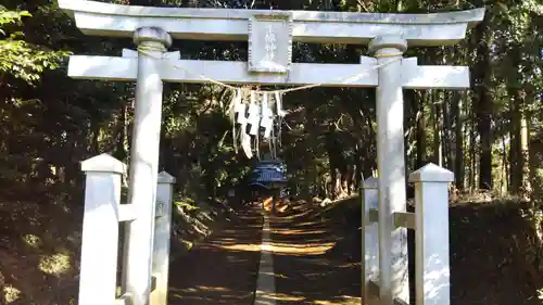 宗像神社の鳥居