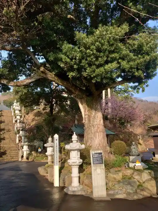 長谷寺のその他建物