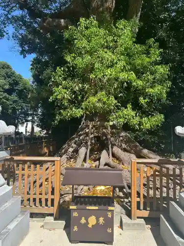 和泉國一之宮　大鳥大社(大阪府)