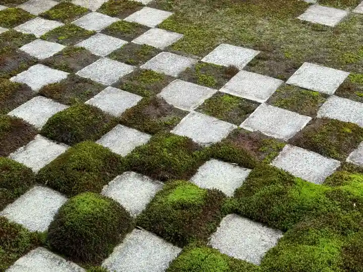 東福禅寺(東福寺)(京都府)