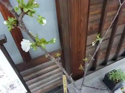 妙蓮寺(神奈川県)