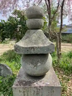 般若寺 ❁﻿コスモス寺❁(奈良県)