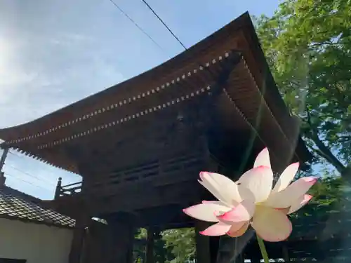 普門寺(切り絵御朱印発祥の寺)の山門・神門