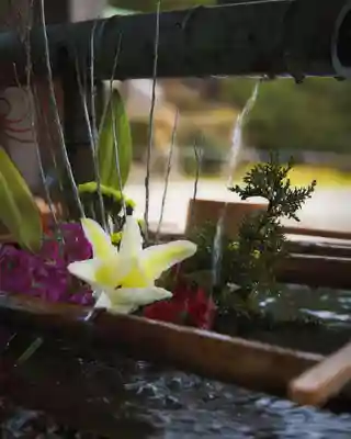 氣多大社(石川県)